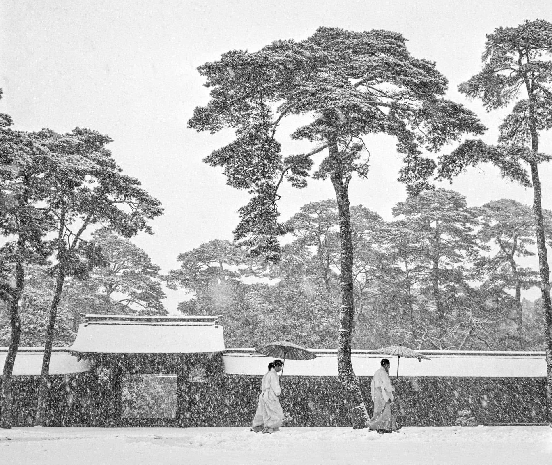 Snow-draped trees in the garden of the Meiji shrine, Tokyo. Three persons carrying umbrellas walk through the snow wearing white robes.